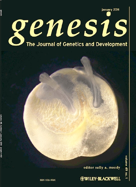 http://ircms2.ssrd.jp/research/guojun_sheng/images/cover-genesis1.jpg
