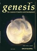 Thumbnail image for cover-genesis1.jpg